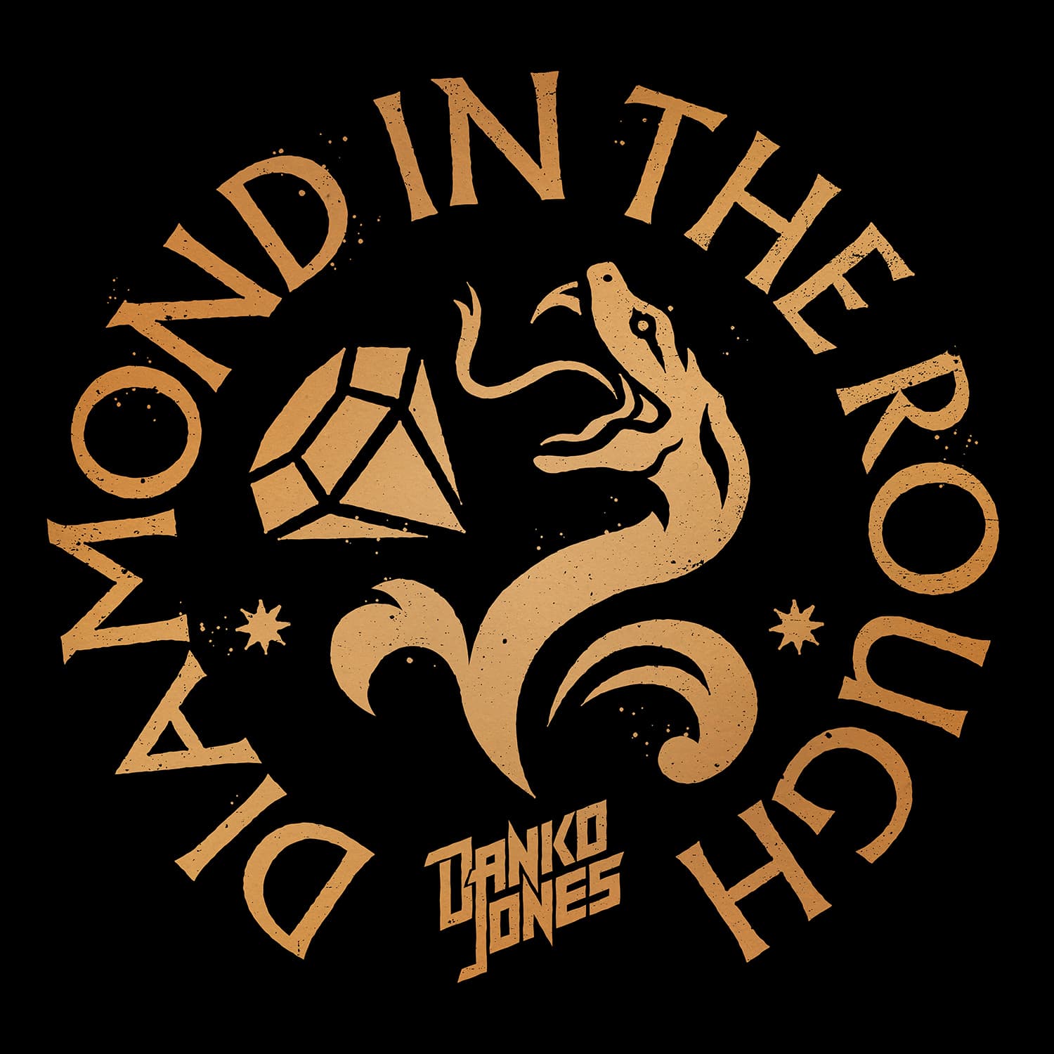 Diamond In The Rough out October 10!